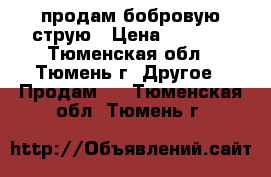 продам бобровую струю › Цена ­ 5 000 - Тюменская обл., Тюмень г. Другое » Продам   . Тюменская обл.,Тюмень г.